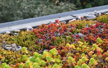 the cost of Surbiton green roof installation