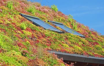 Surbiton living roof systems